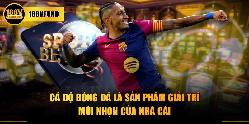 Cá độ bóng đá là sản phẩm giải trí mũi nhọn của nhà cái